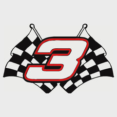 NASCAR Dale Earnhardt #3 Checkered Flag RGB Lightbox